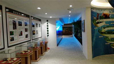 500平米展廳設(shè)計制作：現(xiàn)代/綠色，教育類展廳-桂林植物園科普展廳（免費(fèi)使用）